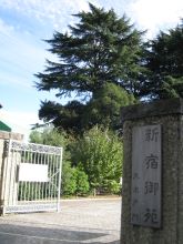 新宿御苑大木戸門